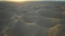 Aerial Forward Shot Of Plants On Sand Dunes In Desert At Sunset - Glamis, California