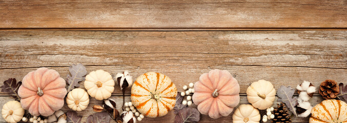 Wall Mural - Fall bottom border of pumpkins and natural decor over a rustic wood banner background. Top down view with copy space. Soft red and brown hue.
