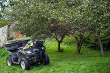 Front View Of Apple Picker And Apples In Off Road Farm Vehicle