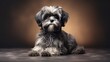 Shih Tzu dog.Shih Tzu dog portrait close up. Horizontal banner poster background. Copy space. Photo texture AI generated