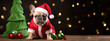 French Bulldog Christmas Party09.png