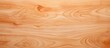 Natural wood pattern on plywood texture