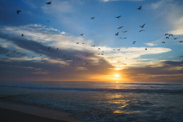 Wall Mural - Golden sunset over the sea with beautiful cloudy sky on background and silhouette of flying birds. Amazing tranquil scene in soft light colors, copy space