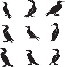 Cormorant Vector Silhouette Illustration 
