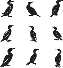 Cormorant Vector Silhouette Illustration 