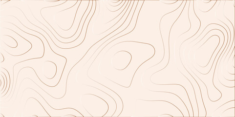 Fototapete - Abstract background with beige gradient Topographic line map pattern. Contour elevation topographic and textured Background Modern design with White background with topographic wavy patte.