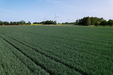 Wind turbine on grassy green field against cloudy blue sky in rural area. Offshore windmill park with clouds in farmland Poland Europe. Wind power plant generating electricity. Renewable green clean