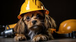 Canine Construction Worker with a Mini Hard Hat and Tools, funny dogs, with copy space