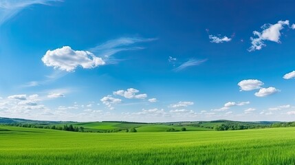 Wall Mural - Natural Scenic Panorama Green Field