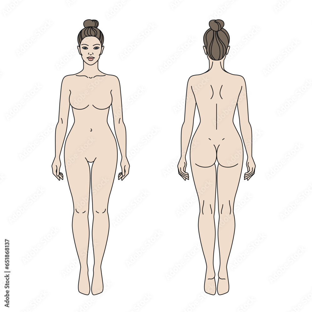 Woman body front and back view vector illustration. Isolated outline ...