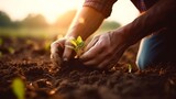 Fototapeta  - Male hands touching soil on the field. Expert hand of farmer checking soil health before growth a seed of vegetable or plant seedling. Business or ecology concept.