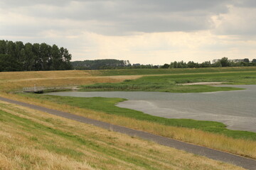  a drainage channel and green salt marsh in the bend of the seawall of the westerschelde sea at the dutch coast in zeeland