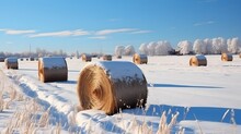 Straw Bales On Farmland In Winter With Blue Cloudy Sky