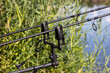 bite alarm for carpfishing, fishing rods and reels, rod pod