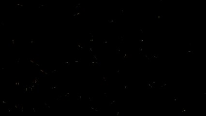 Wall Mural - firefly tadpoles in flight background 4k loop features yellow fireflies with small tails flying arou