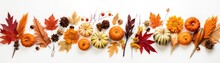 Flat Layout Of Dried Leaves, Pumpkins, And Flowers On White Thanksgiving Day Panoramic Banner