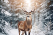 © Evgeniia - Noble deer male in winter snow forest. Artistic winter christmas landscape.