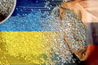 Wheat grains on the yellow and blue color table of Ukraine Ukrainian grain crisis, global crisis concept due to war