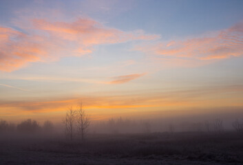 Wall Mural - beautiful winter landscape with fog and frost