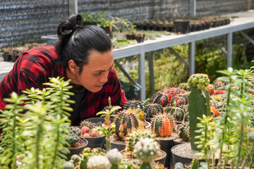 Handsome happy long haired asian man cactus gardener in red caring cactus flower in a greenhouse. Plant shop owner checking and counting plants in store. Small business entrepreneur, Urban Farming.