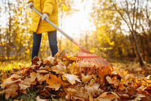 A Young Girl Is Clearing Fallen Leaves In The Park On A Sunny Autumn Evening. A Woman Volunteers In A Yellow Jacket.