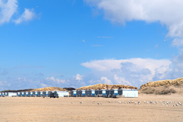 Wall Mural - Beach huts and seagulls at the beach