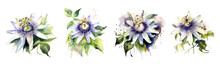 Watercolor Tropical Flowers White Passiflora Set. Generative AI