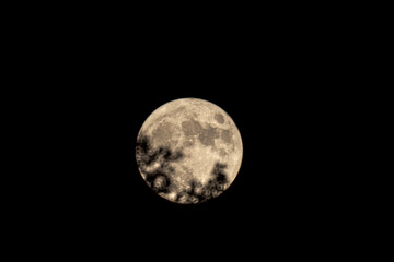moon in the sky