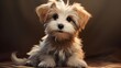 Un adorable petit chien, petit et brun, est assis fièrement. Ce chiot offre un portrait charmant en tant qu'animal de compagnie, de mammifère joli.