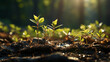 spring in the forest HD 8K wallpaper Stock Photographic Image