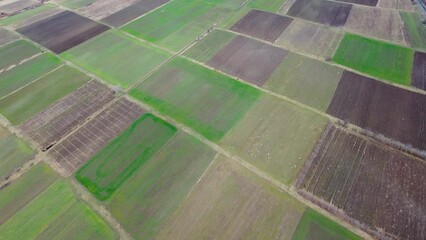 Sticker - Cultivated Lands And Vineyards Aerial View