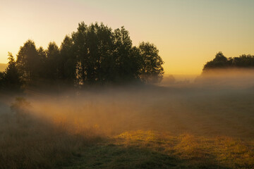 Wall Mural - beautiful, multicoloured, misty sunrise over a mountain meadow