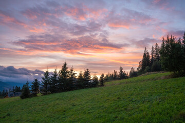 Wall Mural - beautiful dramatic coloured sky over a meadow in the mountains