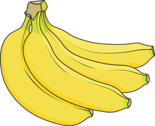 Illustration Of Bananas
