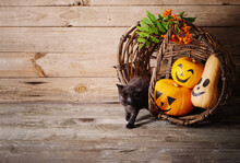 Black Little Cat With Halloween Pumpkins