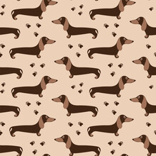 Seamless Texture With Cute Dachshunds. Vector Wallpaper With Cute Dogs And Paw Print. Domestic Animals Texture.