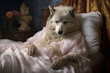 wolf pretending to be grandma in bed, little red ridinghood theme