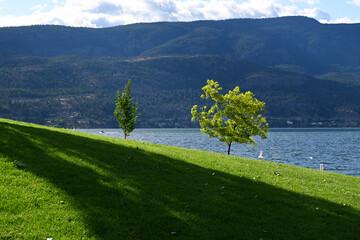 Wall Mural - Okanagan Lake in city of Kelowna in British Columbia, Canada.