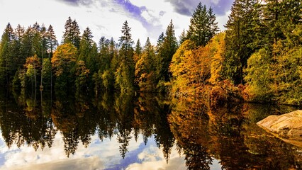 Wall Mural - Fall color trees on a lakeshore in the forest with visible reflections on the water