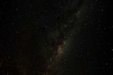 Wall Mural - star field against sky at night
