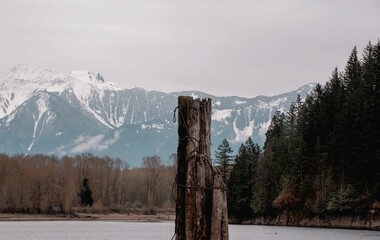 Sticker - Tranquil valley surrounded by towering mountains and aged logs.