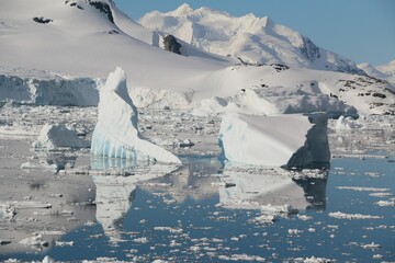 Poster - View of a serene lake surrounded by majestic icebergs