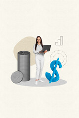 Aufkleber - Poster collage image of successful wealthy lady worker banker earn money online financial growth isolated on drawing background