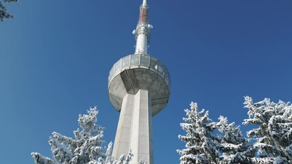 Wall Mural - Raising drone of Uetliberg TV-Tower on high forest trees under blue sky in Zurich, Switzerland