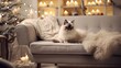 Cute Siamese cat sleeping on sofa in living room at christmas time