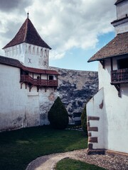 Poster - a couple of buildings sitting on the grass with a tower in the background