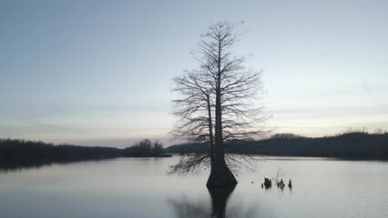 Wall Mural - landscape scene of silhouette leafless tree on a lake with hills and dramatic cloudy sky
