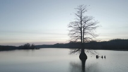 Wall Mural - landscape scene of silhouette leafless tree on a lake with hills and dramatic cloudy sky