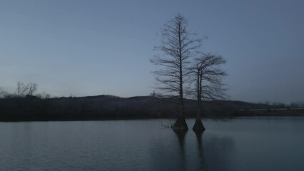 Wall Mural - landscape scene of silhouette leafless tree on a lake with hills and evening sky