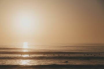 Sticker - the sun shining over a beach with people swimming and surfing